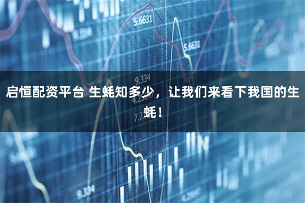 启恒配资平台 生蚝知多少,让我们来看下我国的生蚝!