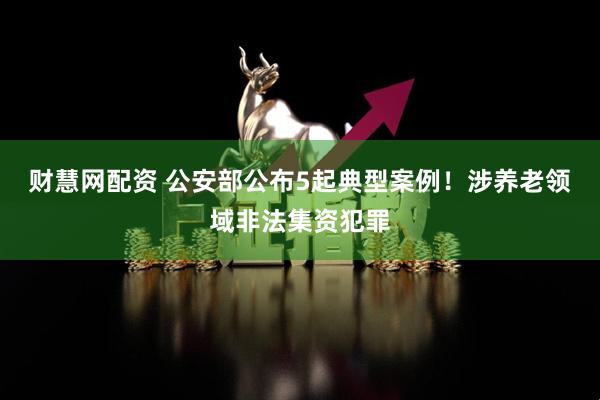 财慧网配资 公安部公布5起典型案例！涉养老领域非法集资犯罪