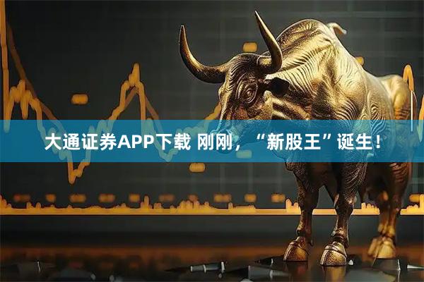 大通证券APP下载 刚刚,“新股王”诞生!